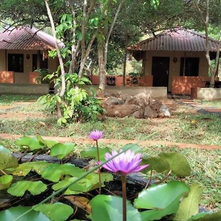 Hotel Niyagala Lodge Sigirija Zewnętrze zdjęcie