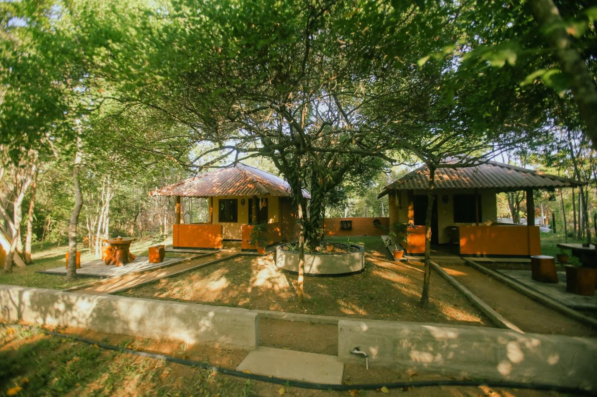 Hotel Niyagala Lodge Sigirija Zewnętrze zdjęcie