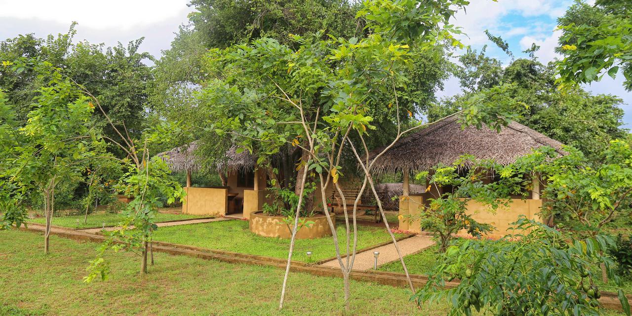Hotel Niyagala Lodge Sigirija Zewnętrze zdjęcie