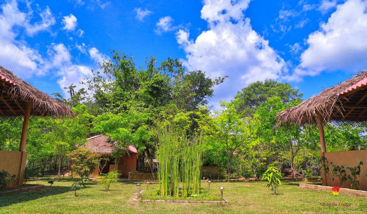 Hotel Niyagala Lodge Sigirija Zewnętrze zdjęcie